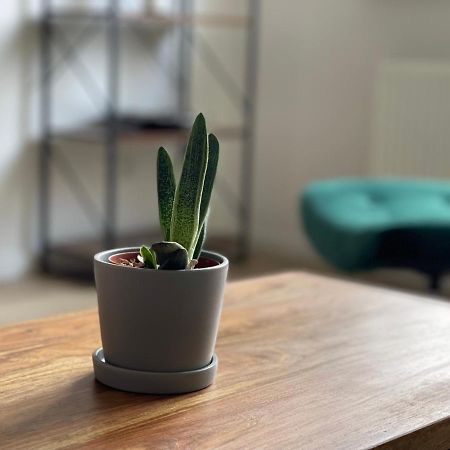 Modern * Zentral * Netflix * Arbeitsplatz Appartement Wuppertal Buitenkant foto