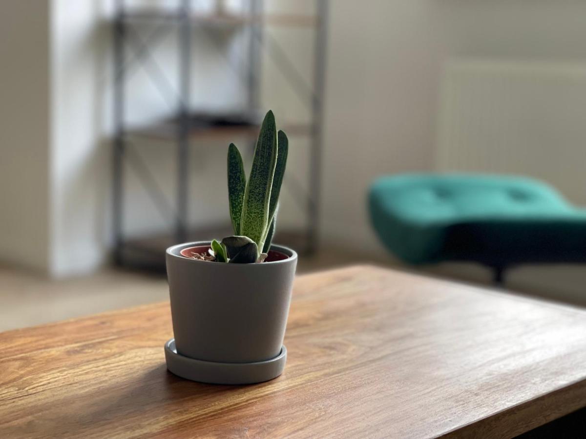 Modern * Zentral * Netflix * Arbeitsplatz Appartement Wuppertal Buitenkant foto